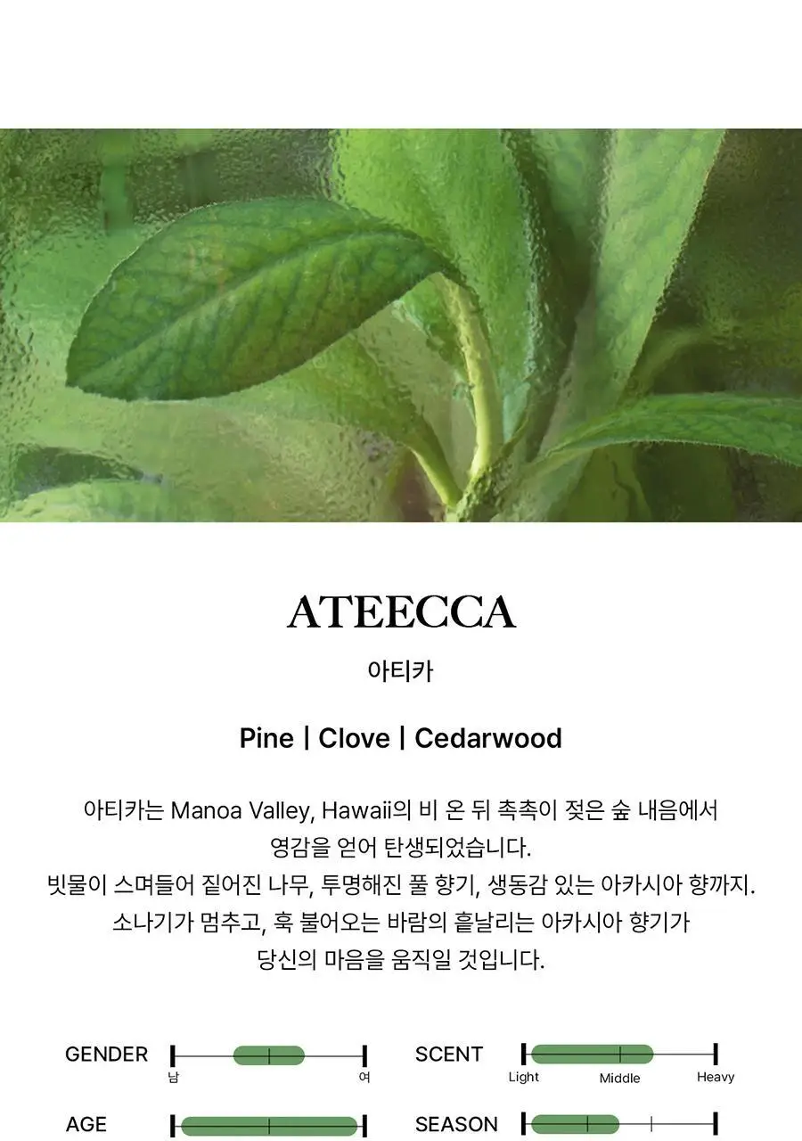 [보이넥스트도어 PICK] 비비앙 니치 섬유향수 8종 택 1 (단품/2개입) 상세페이지 21
